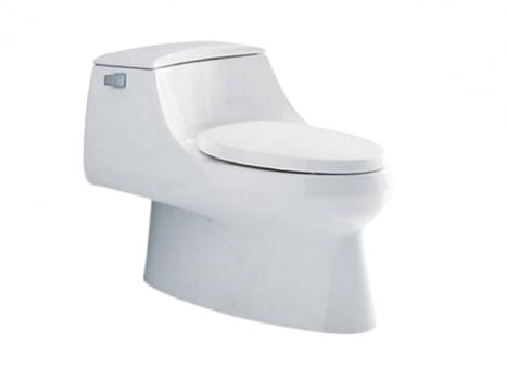 San Raphael Skirted One-piece 4.8L Toilet with Class 5 Flushing Technology - K-3722VN-S-0