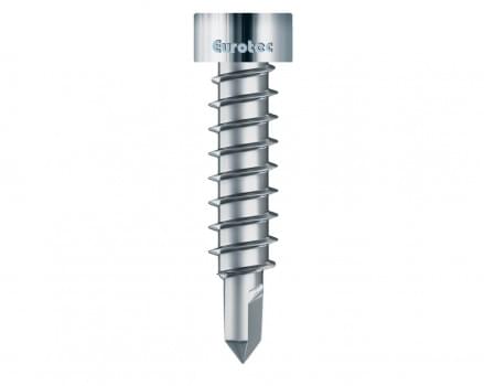 Thermofix Screw with Drill Point