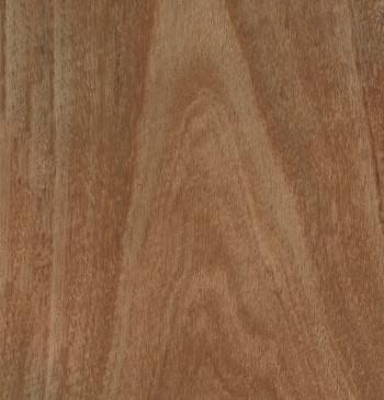 Ironbark Crown Cut Timber Veneer from Bord Products