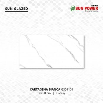 Cartagena Bianca 30x60 from Sun Power