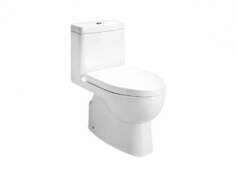 Reach Skirted One-Piece Dual Flush 3/4.8L Toilet with Class 5 Flushing Technology - K-3983T-S2-0 from KOHLER
