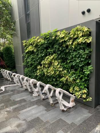 Vertical Greenwall Tray System VS165 from InnoGreen