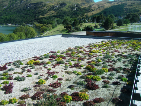 EQUUS SOPREMA DUOTHERM GREEN ROOF SYSTEM from Equus Industries