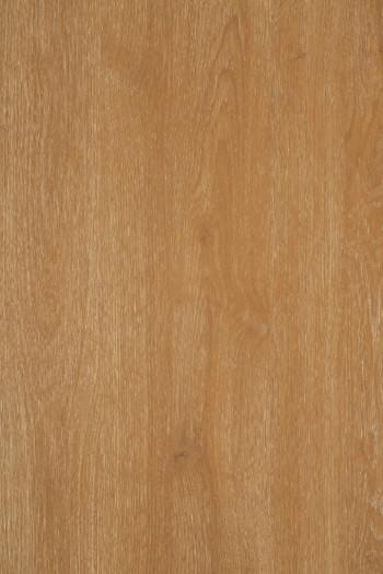 TH 889 FC French Tan Oak from TACO