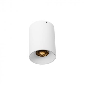 Cypher Mini Surface Mount Downlight