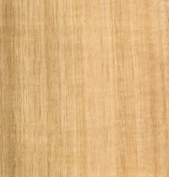 Tasmanian Oak Quarter Cut Timber Veneer from Bord Products
