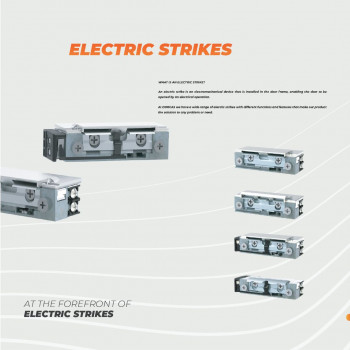ELECTRIC STRIKES