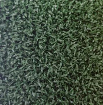 Speciality Grass