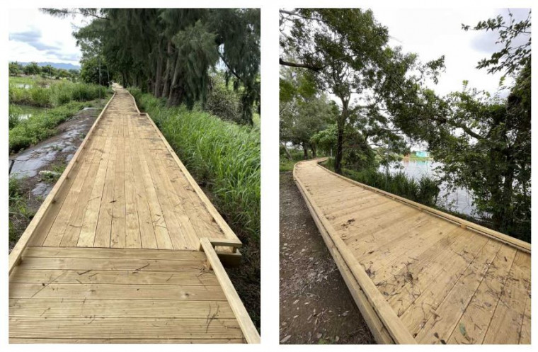 Treated Wood for Parks, Outdoor Spaces and Hiking Trails