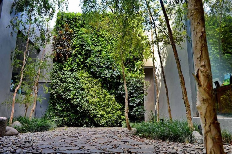 4 Ide Area Rumah Yang Dapat Menggunakan Vertical Garden