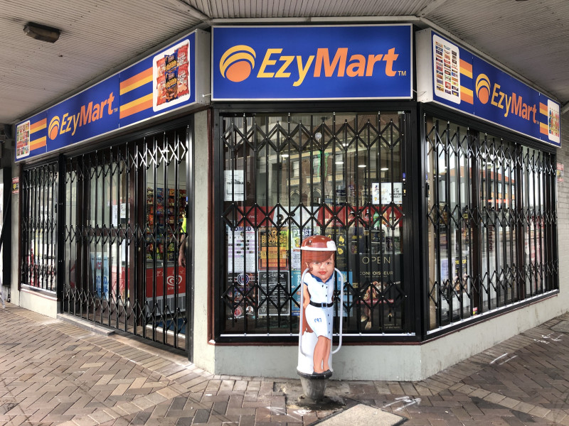 Shop Front Security Doors with a Difference
