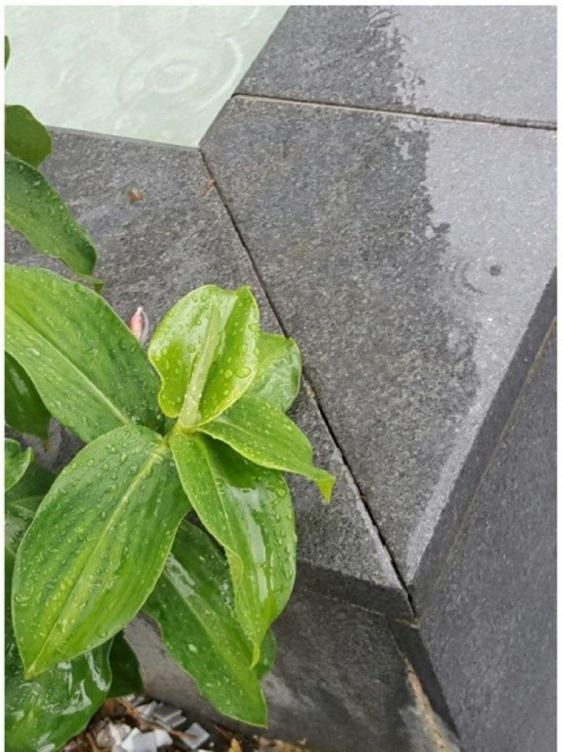 Tips to prevent efflorescence during tile and stone installation